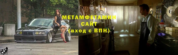 индика Ельня