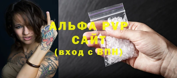 индика Ельня