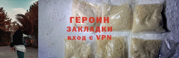 индика Ельня
