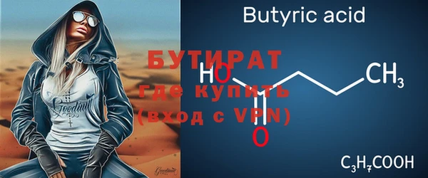 индика Ельня