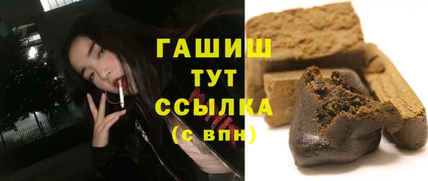 индика Ельня