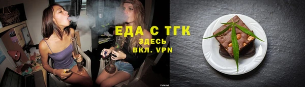 индика Ельня