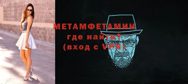индика Ельня