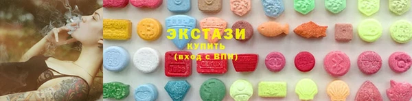 индика Ельня