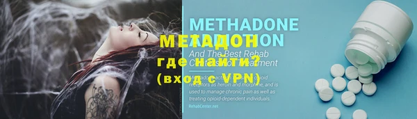 индика Ельня
