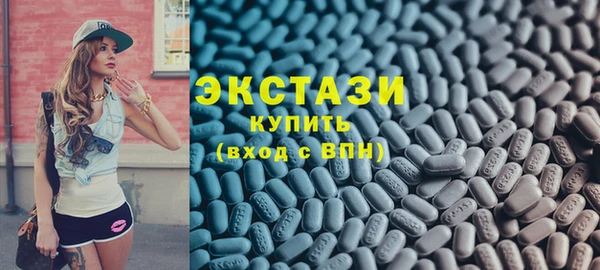 индика Ельня