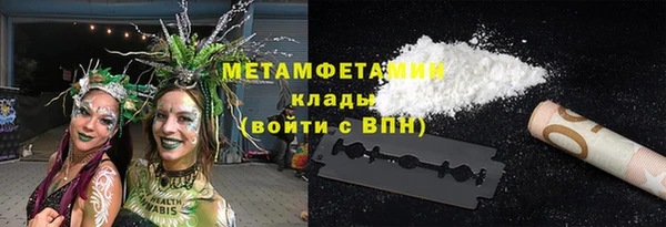 индика Ельня
