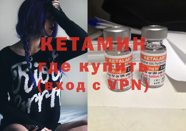 индика Ельня