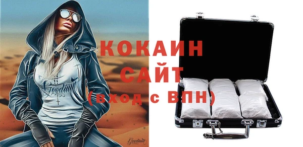 индика Ельня